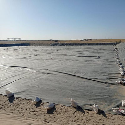 HDPE Geomembrane for Fish Shrimp Pond in Indonesia 1mm Thickness Durable Material