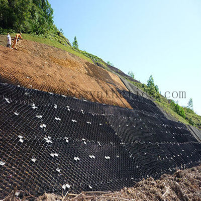 Plastic Geocell for Driveway and Slope Protection in Hotel Parking Construction