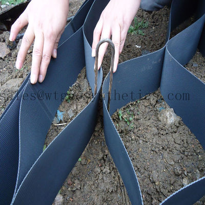 330mm-1000mm Welding Distance HDPE Geocell for Slope Protection Honeycomb Design