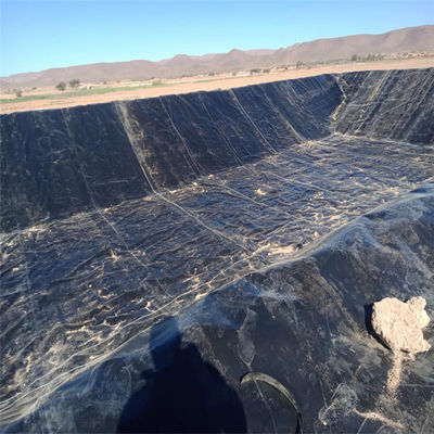 Virgin or Recycled HDPE Geomembrane Circular Tanks for Aquaculture Lower Guaranteed