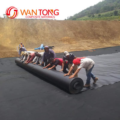 Modern Design Style 1mm HDPE Geomembrane Liner Customized for Tunnel Lining Solutions