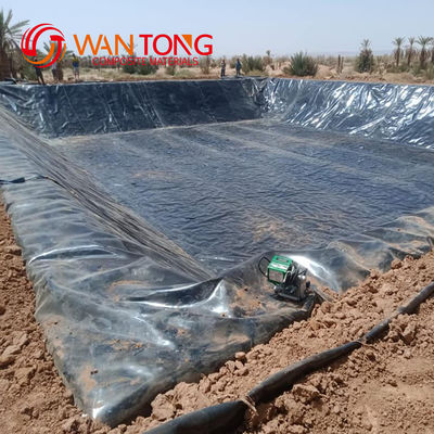 Modern Design Style 1mm HDPE Geomembrane Liner Customized for Tunnel Lining Solutions