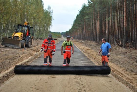 Civil Engineering Construction Geogrid 3030 Polypropylene PP for Enhanced Performance