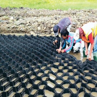 WELDING DISTANCE 330mm-1000mm Geocell Grass Paver for Contemporary Design Style Sale