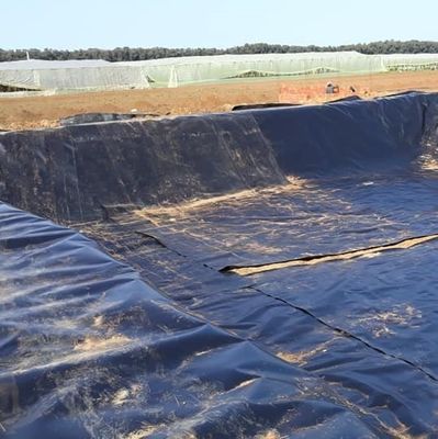 Long-Lasting HDPE Geomembrane for Asian Design Style Pond Lining in Other Regions