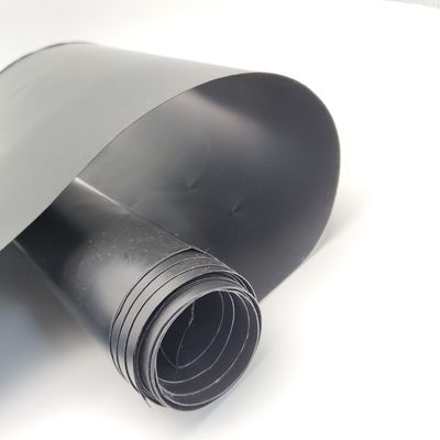 Long-Lasting HDPE Geomembrane for Asian Design Style Pond Lining in Other Regions