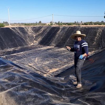 1mm Plastic HDPE Geomembrane for Traditional Design in Circular Tank Fish Pond Liner