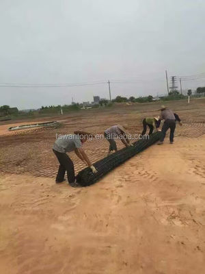 Philippines Fiberglass Geogrid Composite Geotextile Pavement Geogrid for Garage Shed