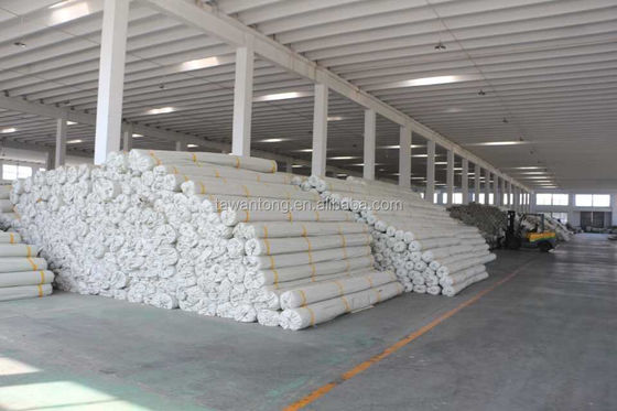 Philippines Fiberglass Geogrid Composite Geotextile Pavement Geogrid for Garage Shed