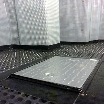 Biaxial Polyester Geogrid 80-80 PET for Roadbed Solidification 0.2mm-4mm Thickness