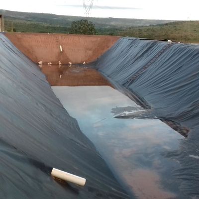 LDPE LLDPE HDPE Plastic Fish Ponds Waterproofing Membrane 0.5mm HDPE Geomembrane Sheet m2