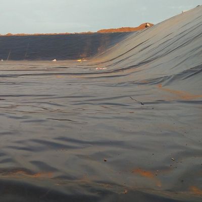 LDPE LLDPE HDPE Plastic Fish Ponds Waterproofing Membrane 0.5mm HDPE Geomembrane Sheet m2
