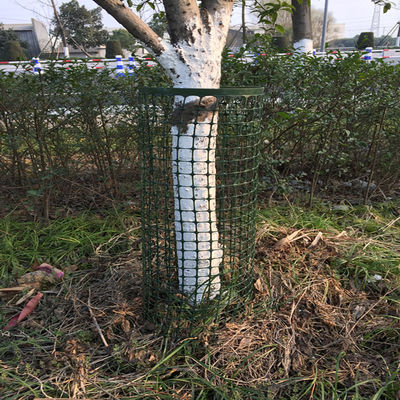 Roadbed Reinforcement PP Plastic Biaxial Geogrid for Breeding Industry and Chickens