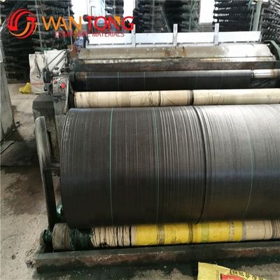 Supply Black PP Geotextile for Road Contemporary Design Style High Strength Material