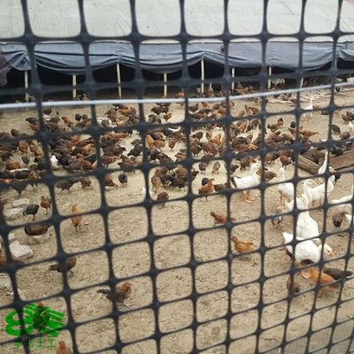 Slope Reinforcement with 40kn/M Biaxial Bidirectional Polypropylene PP Plastic Geogrid
