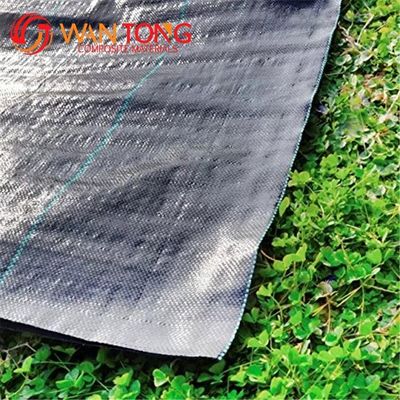 Supply Black PP Geotextile for Road Contemporary Design Style High Strength Material