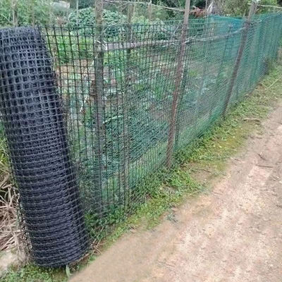 Normal Black Biaxial Geogrid Essential for Breeding Chickens Plastic Fence in Roadbed