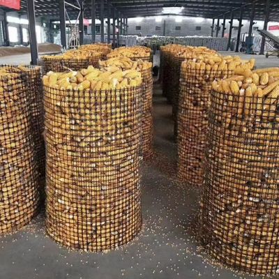 Woven Polyester Geogrid for Roadbed and Slope Protection 0.2mm-4mm Thickness ISO Standard