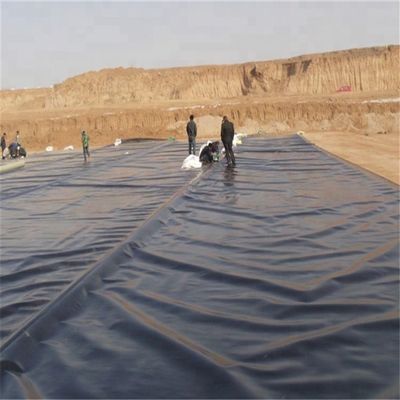 0.2mm HDPE Geomembrane Waterproof Tarpaulin Liners for Biofloc Fish Farming Ponds