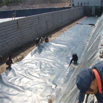 0.2mm HDPE Geomembrane Waterproof Tarpaulin Liners for Biofloc Fish Farming Ponds