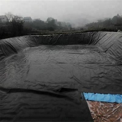 0.2mm HDPE Geomembrane Waterproof Tarpaulin Liners for Biofloc Fish Farming Ponds