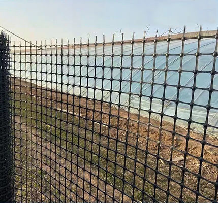 Road Reinforcement Biaxial Geogrid with and Tensile Strength in Chinese Design Style
