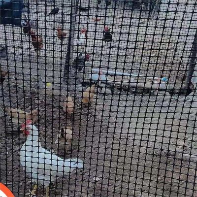 CE/ISO9001 Certified Chicken and Goose Breeding Fence with Reinforced Biaxial Geogrid