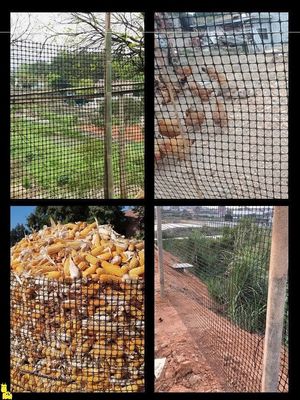 CE/ISO9001 Certified Chicken and Goose Breeding Fence with Reinforced Biaxial Geogrid
