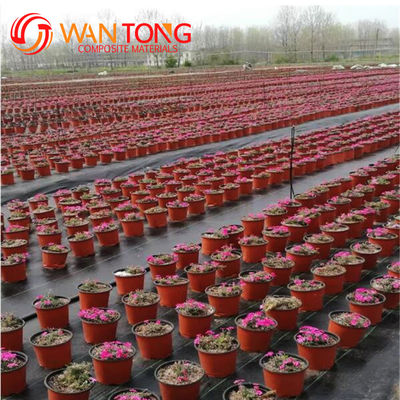 Polyester UV Treated Woven PP Geo Fabric Geotextile for Canada Environmental Projects