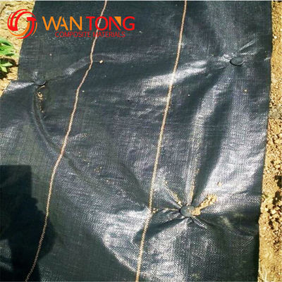 Polyester UV Treated Woven PP Geo Fabric Geotextile for Canada Environmental Projects