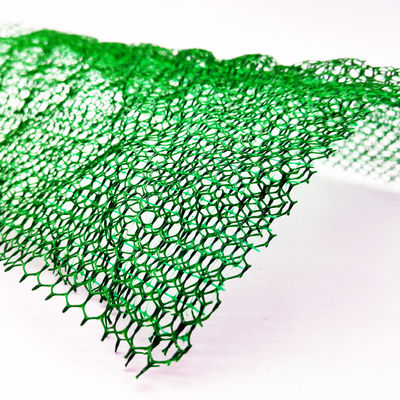 Landscape Plastic Steel Mesh Grass Reinforcement 3D Mat Geomat for Erosion Control