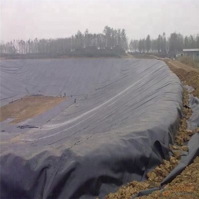 Geomembrane Pond Liner Sheet for Spirulina in Blue Thickness 0.2mm-3mm