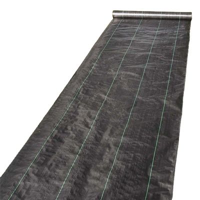 Construction Black White Yellow Color PP Woven Geotextile Length 50-100m/roll at Request