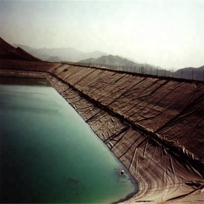 HDPE Geomembrane 300 Roll Water Tanks Farm Pond Plastic Liner for Dam Width 2m-8m Blue