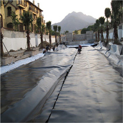 Contemporary Design Style India Manufactured HDPE Geomembrane 1mm for Fish Pond Liner