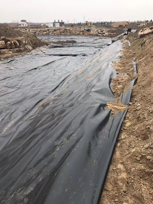 Geomembranes for Fish Tank 2mm Black Waterproof HDPE Plastic Onsite Installation