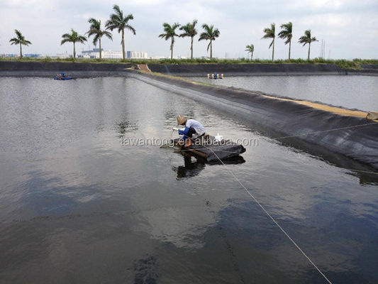 Geomembranes for Fish Tank 2mm Black Waterproof HDPE Plastic Onsite Installation