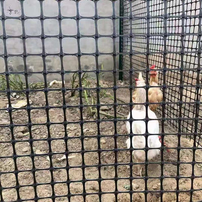 Chinese Design Style Biaxial Geogrid Fence for Chicken Roadbed Roadbed Load Capacity