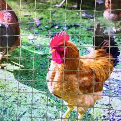 Chinese Design Style Biaxial Geogrid Fence for Chicken Roadbed Roadbed Load Capacity