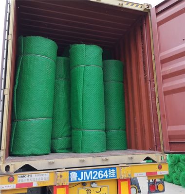 7.6-10.2mm Thickness Composite Geonet 3 Layers HDPE Geomat for Soil Reinforcement