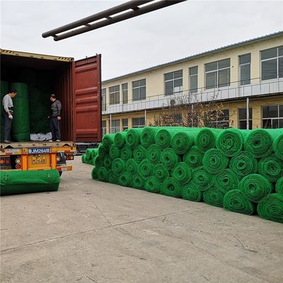 Chinese Design Style Erosion Control Geomat/Planting Mat/Plastic Mesh/3D Geomat 7.6-10.2mm Thickness