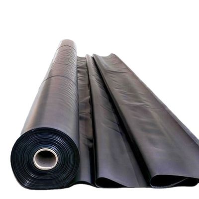 ASTM GRI-GM13 Certified 1.0mm HDPE Geomembrane for Fish Stable Performance Co-Extrusion