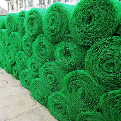 Chinese Design Style HDPE PP Geomat for Customised Landslide Prevention Support Structures