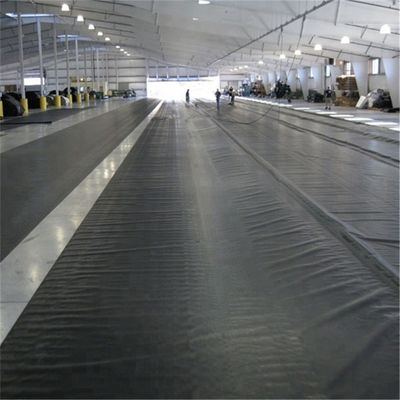Virgin/Recycled HDPE Geomembrane for Pond Tank Dam Lining Swim Pool Fish Farm Liner