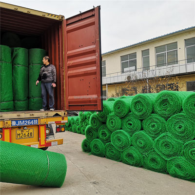 Chinese Design Style HDPE PP Geomat for Customised Landslide Prevention Support Structures