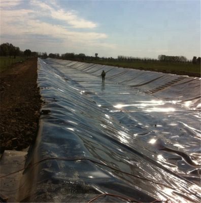 Virgin/Recycled HDPE Geomembrane for Pond Tank Dam Lining Swim Pool Fish Farm Liner