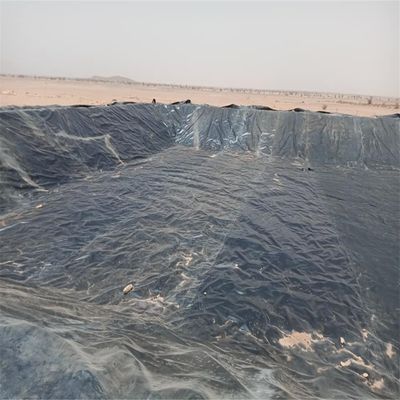 Black HDPE Geomembrane 2.0mm for Waterproofing Dam Liner in Kenya Fish Farm Shrimp Pond