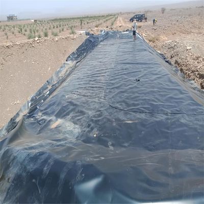 Black HDPE Geomembrane 2.0mm for Waterproofing Dam Liner in Kenya Fish Farm Shrimp Pond