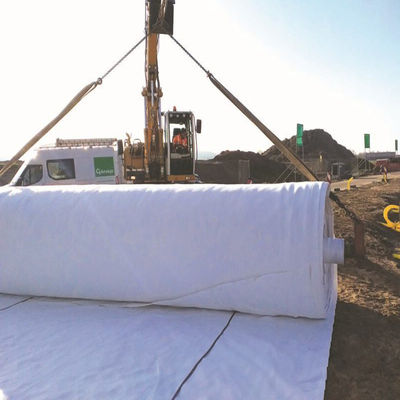 Non-Woven Geotextile Type Black Polypropylene/Polyester PP Pet Needle Punched Textile