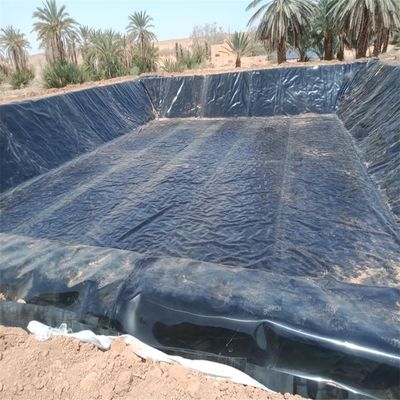 1.5mm HDPE Geomembrane for Artificial Lake Landscape River Levee Channel Onsite Training